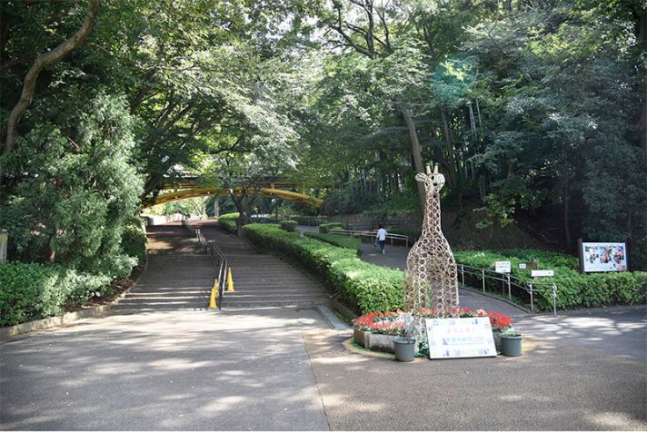 千葉市動物公園